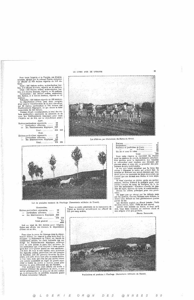 LIVRE D OR DE L ORANIE_000012.jpg